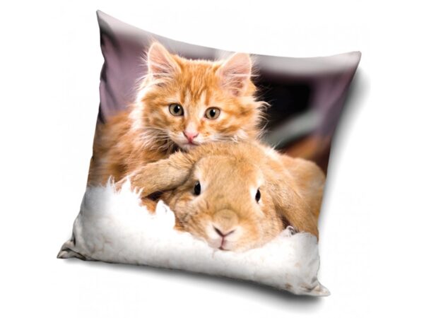 Carbotex Povlak na polštářek 40x40 cm - Rezavé koťátko s králíčkem